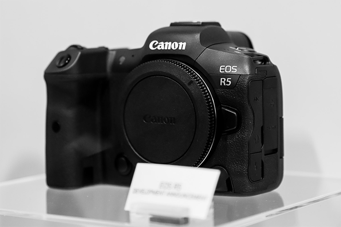 Canon 2020 - Canon EOS R5